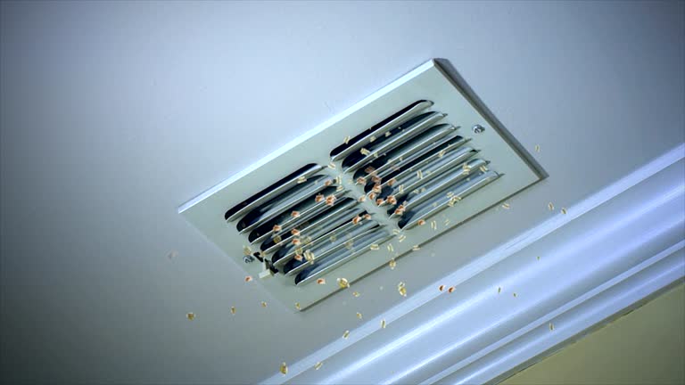 Best HVAC System Cleaning  in Shelburne Falls, MA
