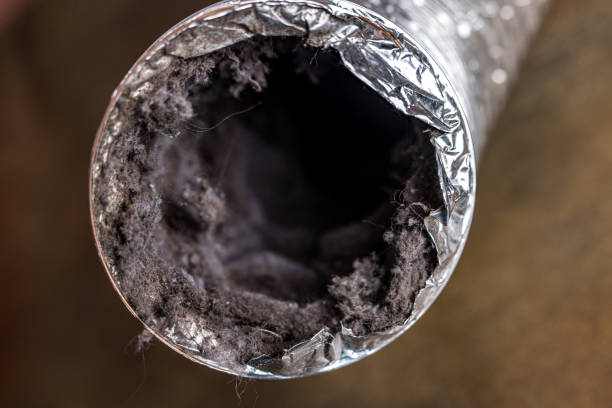 Best HVAC Air Duct Cleaning  in Shelburne Falls, MA